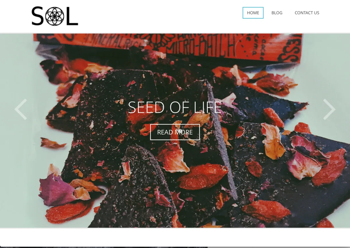 Seed of Life home page: the SOL logo above a full-width photo of chocolate bark topped with rose petals and goji berries